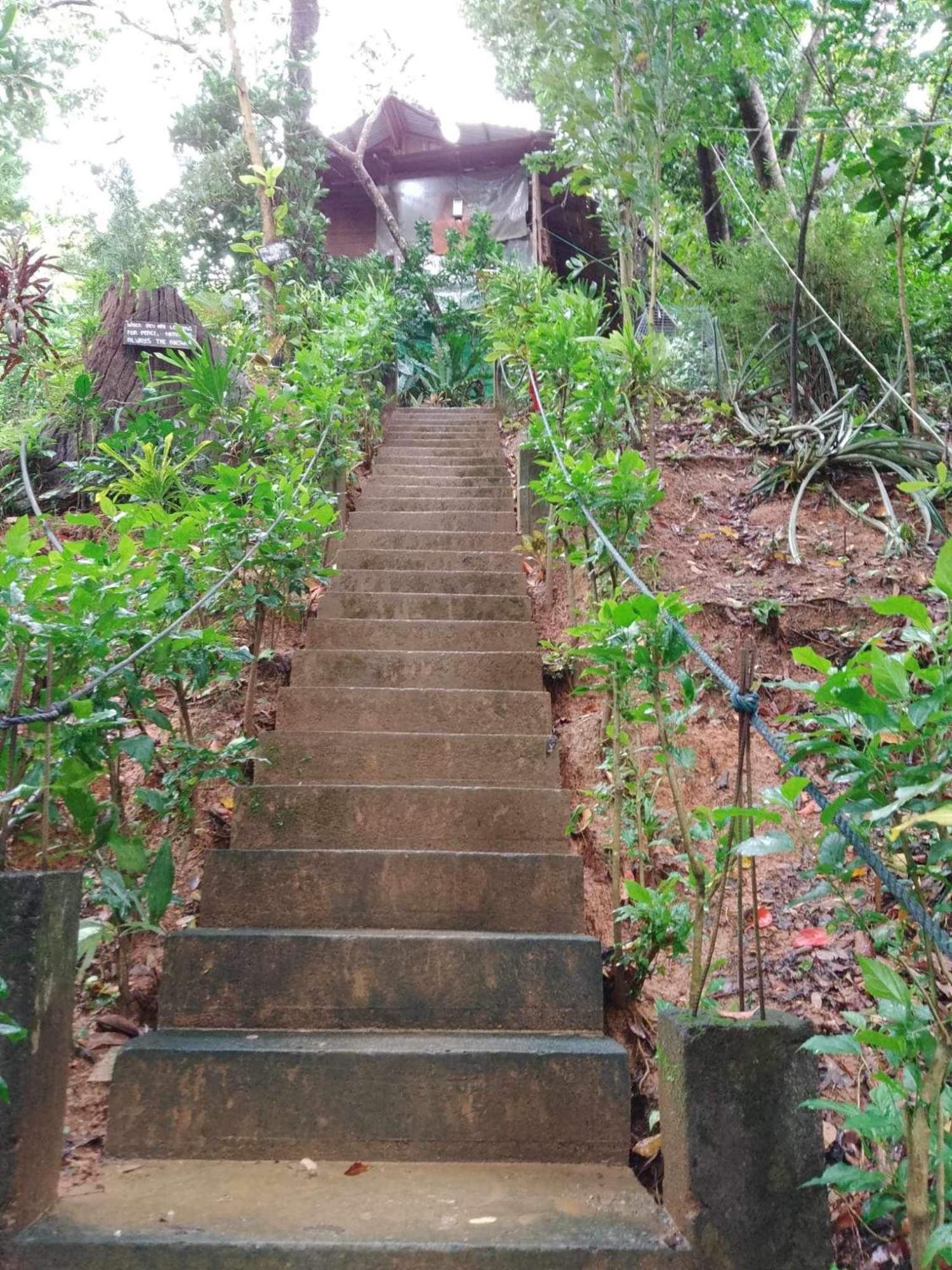 Camp Talusi Hilltop Overlooking El Nido Esterno foto