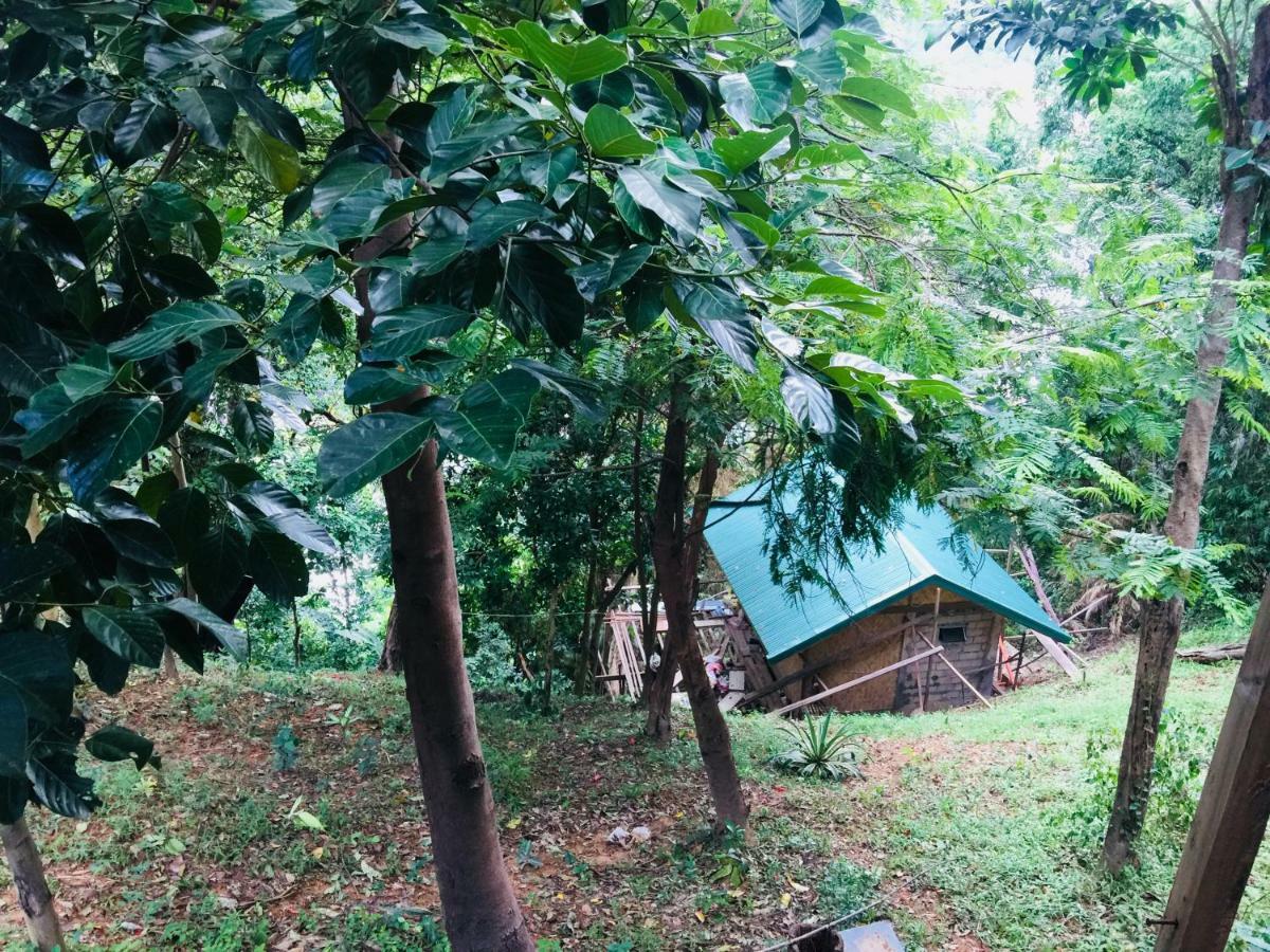 Camp Talusi Hilltop Overlooking El Nido Esterno foto