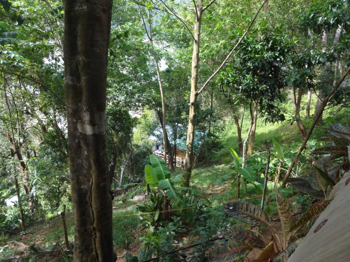 Camp Talusi Hilltop Overlooking El Nido Esterno foto